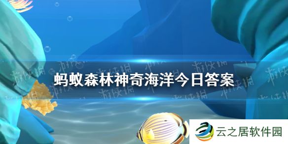 以下哪种海洋鱼类被称为鱼界阿凡达 神奇海洋12月25日答案最新